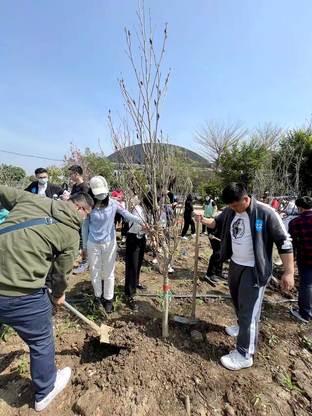 中煤江南團委舉行“同心薈翠，綠滿珠江”主體團日活動3.jpg